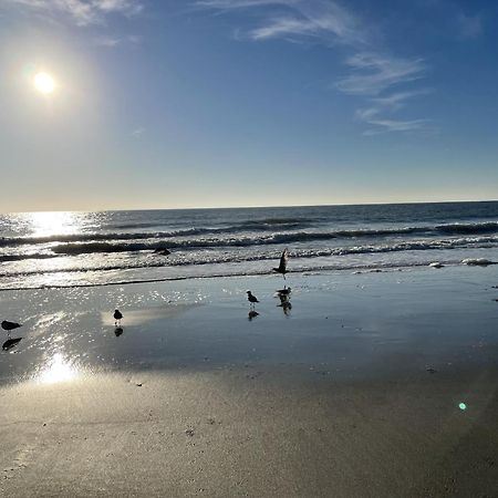Blue Palmetto Vacation Rentals マートルビーチ エクステリア 写真