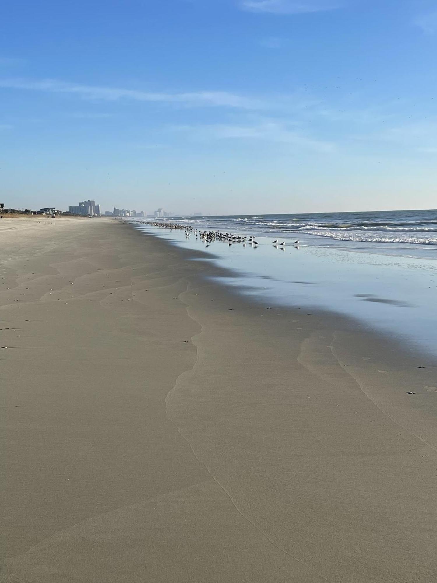 Blue Palmetto Vacation Rentals マートルビーチ エクステリア 写真