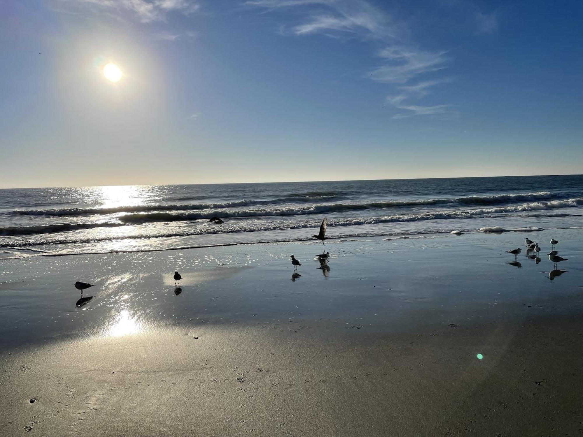 Blue Palmetto Vacation Rentals マートルビーチ エクステリア 写真