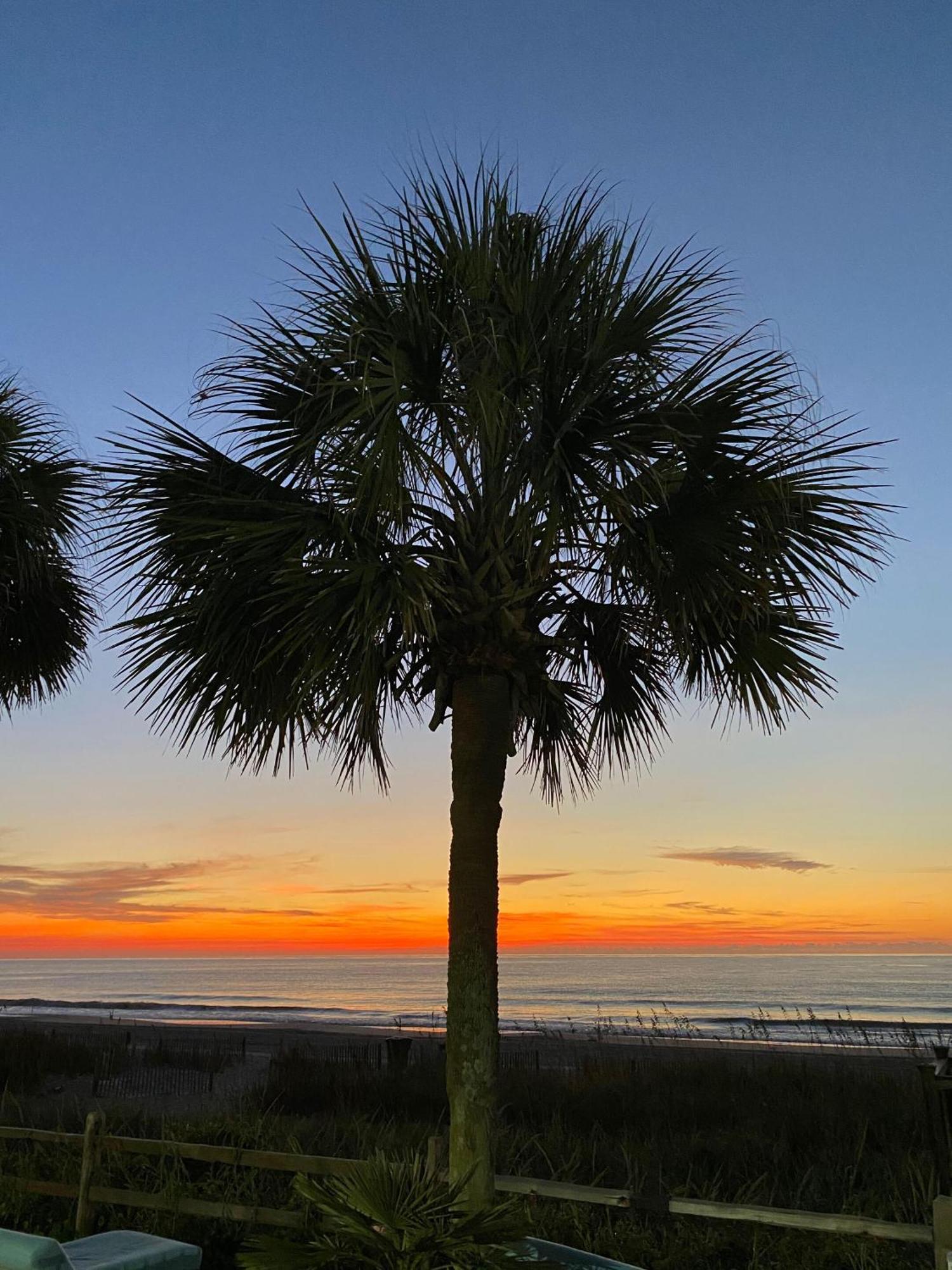 Blue Palmetto Vacation Rentals マートルビーチ エクステリア 写真